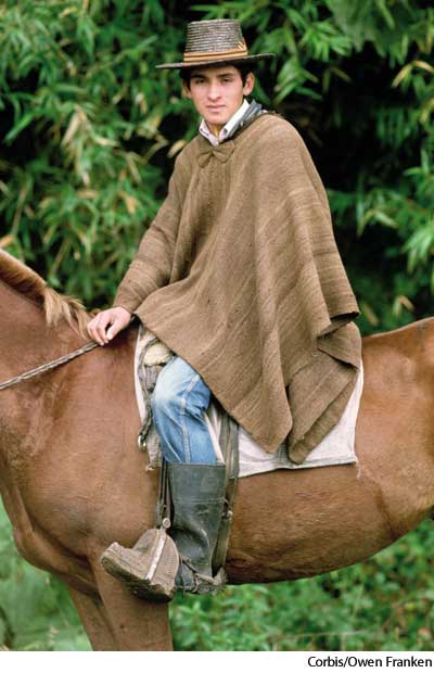 American Heritage Dictionary Entry: poncho