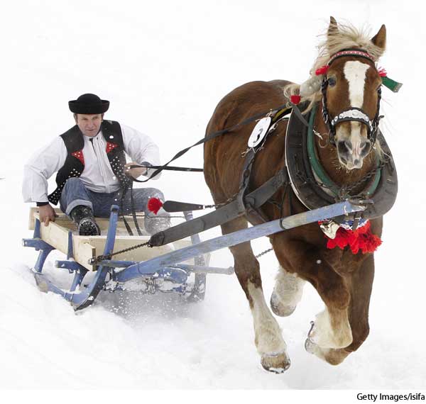 American Heritage Dictionary Entry Sleigh