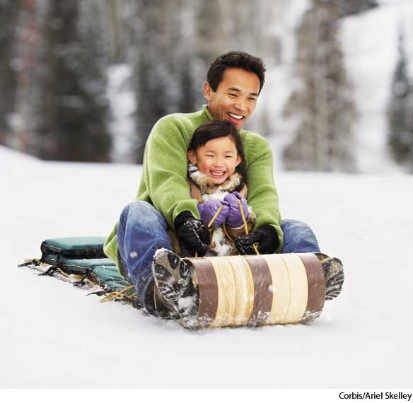 American Heritage Dictionary Entry toboggan