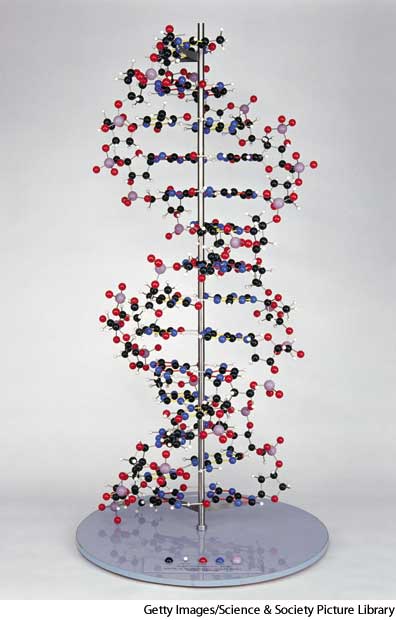 American Heritage Dictionary Entry: Watson-Crick model